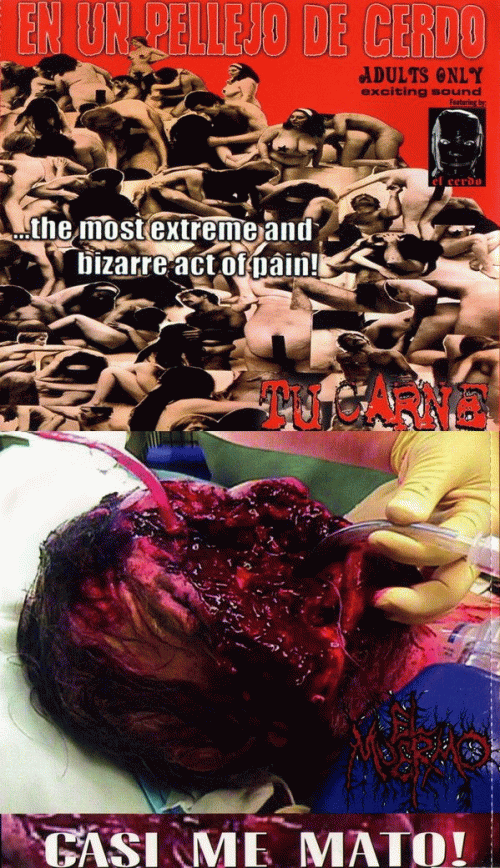 Tu Carne : En un Pellejo de Cerdo